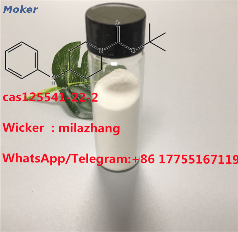 Manufacturer Supply 99% Purity Tert-Butyl 4-Anilinopiperidine-1-Carboxylate CAS125541-22-2 with Lowest Price and Fast Delivery