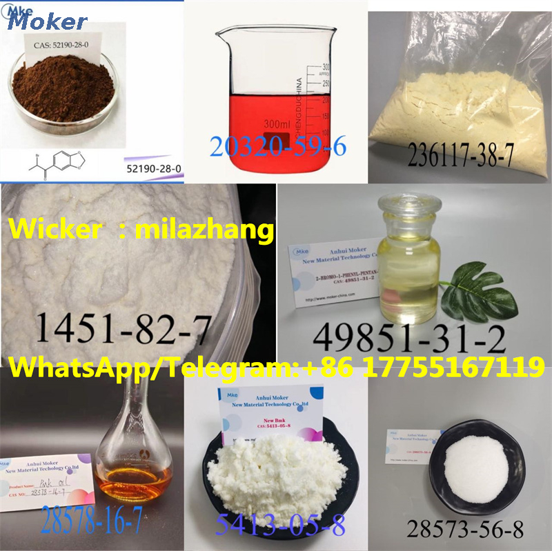 Manufacturer Supply 99% Purity Pmk Glycidate Oil CAS 28578-16-7 New BMK Glycidate with High Quality